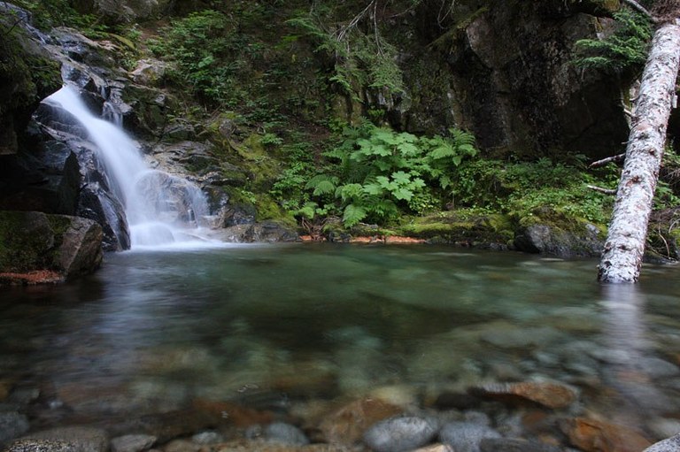Photo of a small waterfall into a calm pool of water, green plants in the background
