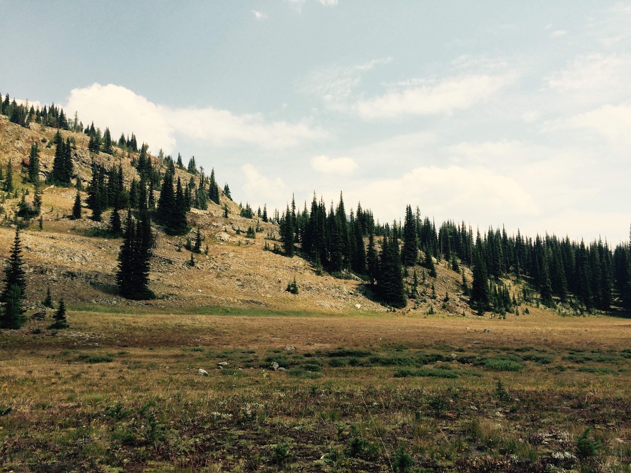 Robinson Pass by Tom Robinson.jpeg