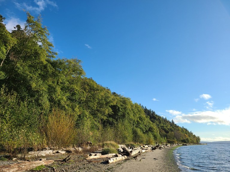 Seahurst Park. Photo by Luffles. A curving stretch of beach fringed by a green forest.