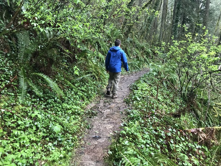 Seminary Hill Natural Area. Photo by Will-Jolene A person in a raincoat walks down a muddy trail in the forest.