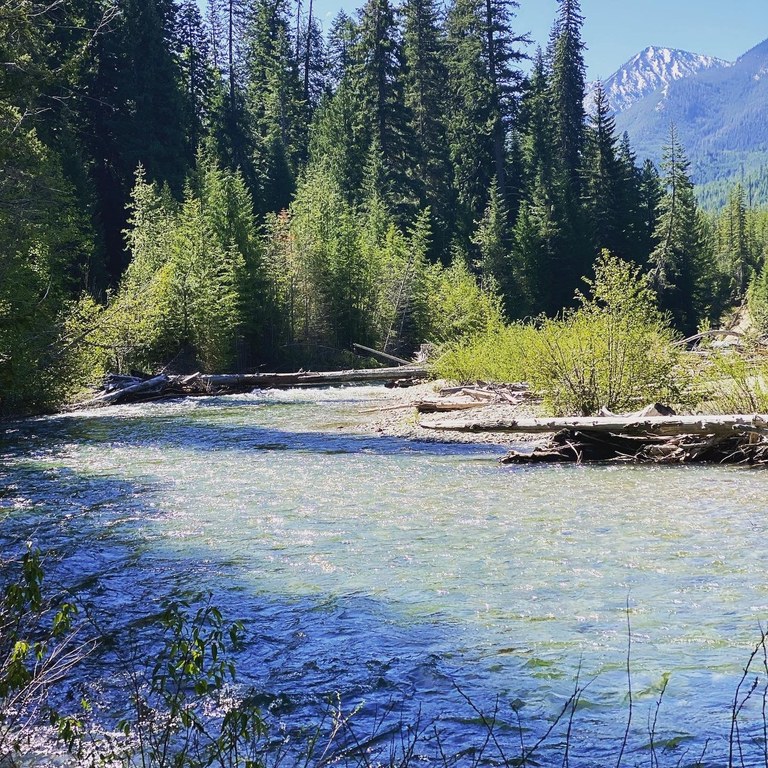 A river runs through trees with mountains in the background. Photo by WEvans.