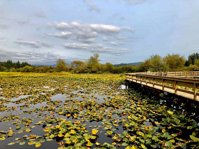 Silver Lake at Seaquest State Park. Photo by Liz M. 