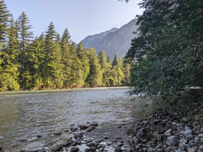 Photo of a river with trees on both sides and a mountain view in the background