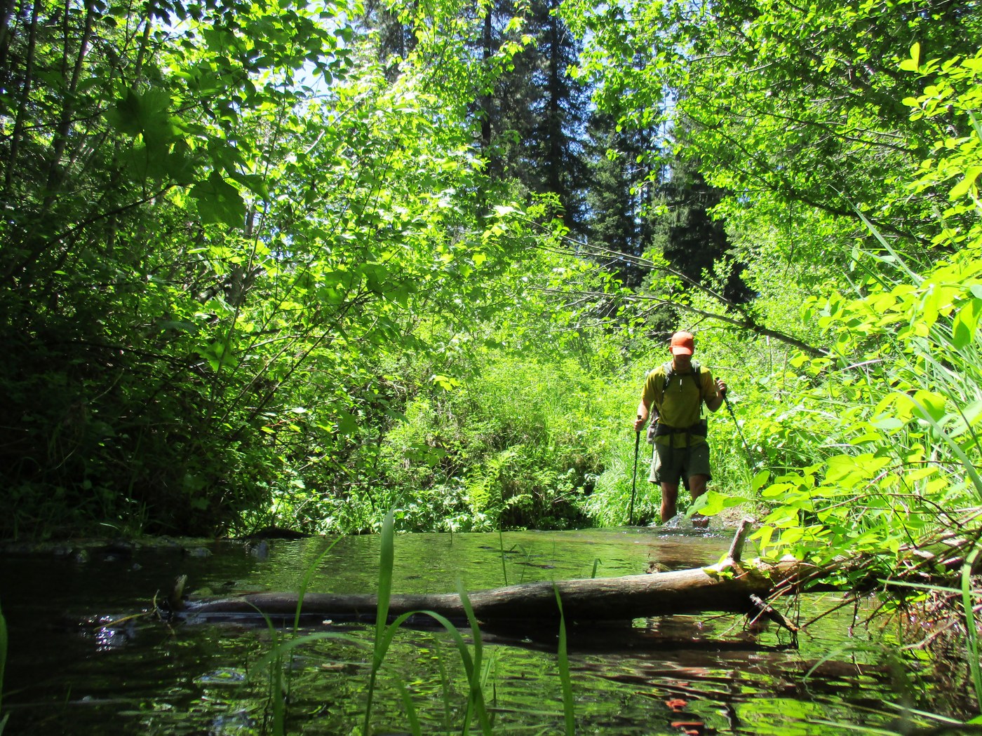 A wet section of trail to cross along the Slick Ear section of the Grizzly Loop.