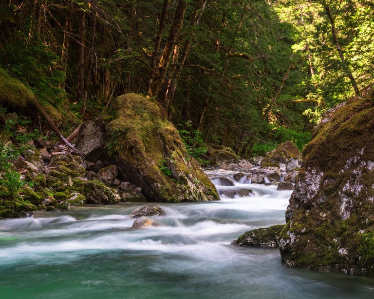 Stetattle Creek. Photo by thowe. A creek flowing through the forest.