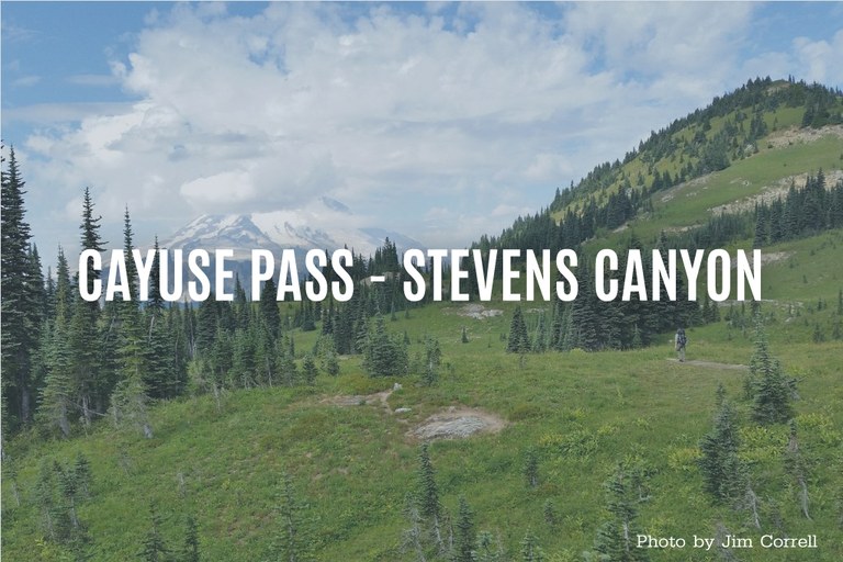 stevens-canyon.jpg