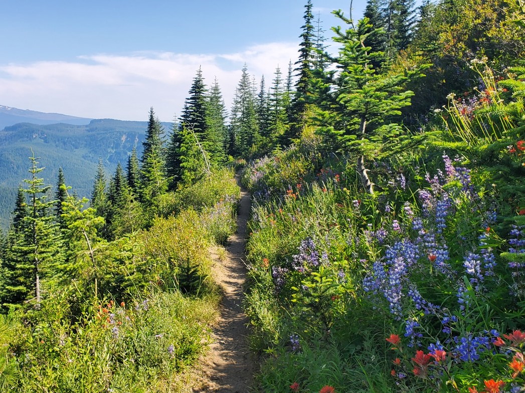 Sunrise Peak. Photo by waddei.jpeg Sunrise Peak. Photo by waddei.jpeg