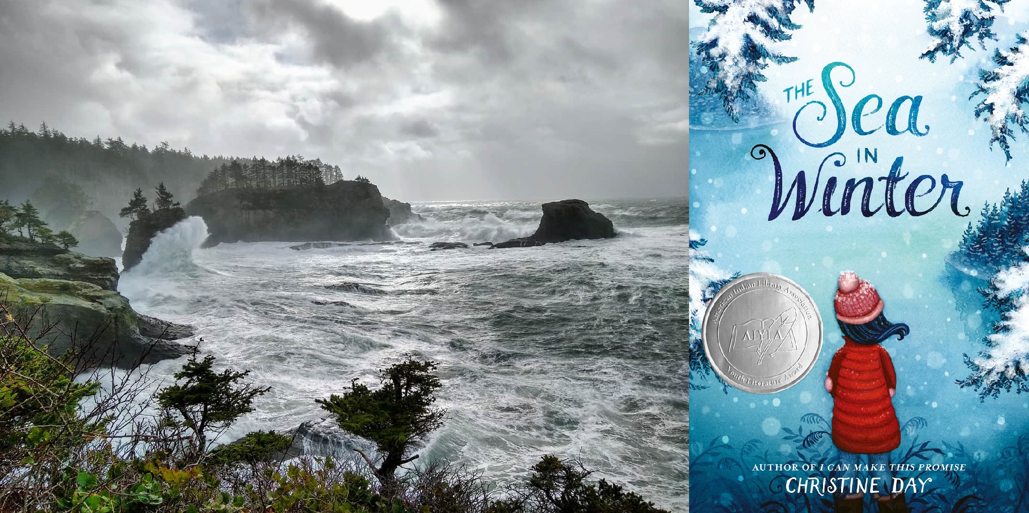 A stormy Cape Flattery with waves crashing in and gray skies. Cover of The Sea of Winter by Christine Day. Photo by lovemyadventure.