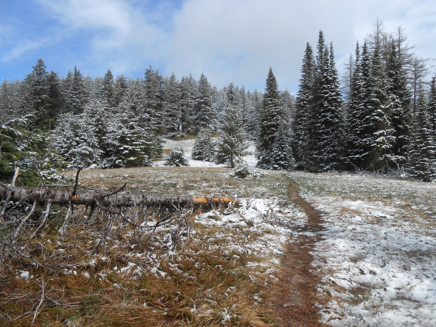 Open field dusted with snow. Photo by Anna Roth. 