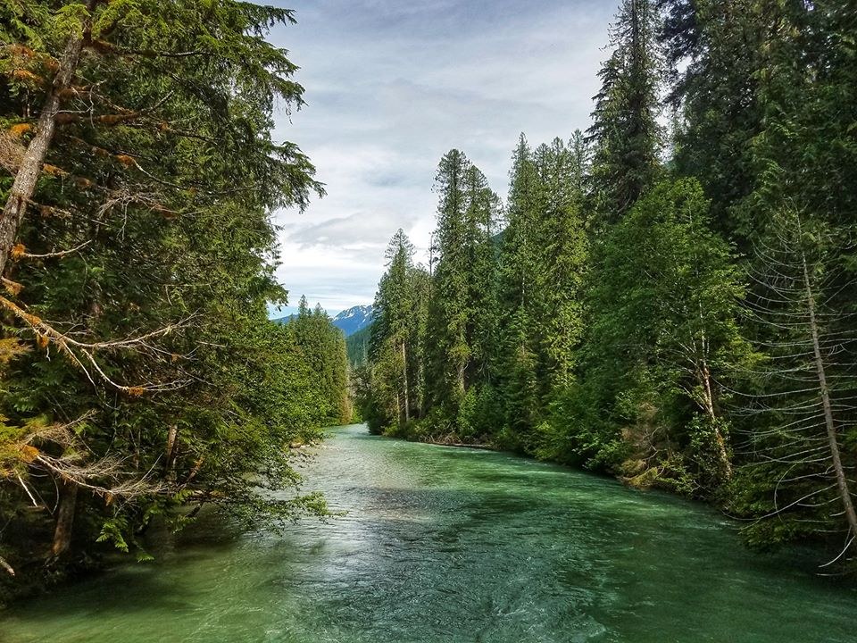 Thunder Creek. Photo by SlothHikingTeam.jpeg