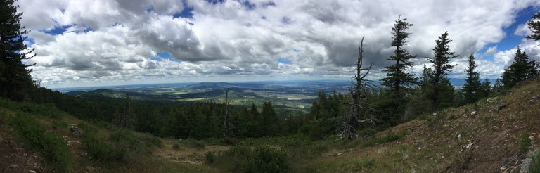 Top of California Creek Trail at Mica Peak Conservation Area.JPG