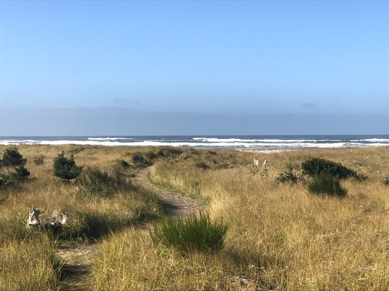 Trail leading through dune grass on the way to the beach on the Lewis and Clark Trail. Photo by Lukin 66. Trail leading through dune grass on the way to the beach on the Lewis and Clark Trail. Photo by Lukin 66.