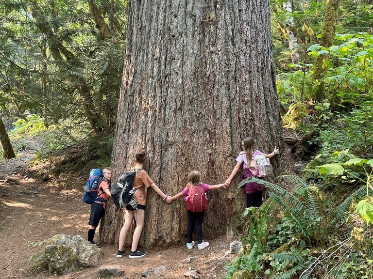 Four kids hold hands at the base of a large Douglas Fir tree trying to encircle it. But the tree is too large!