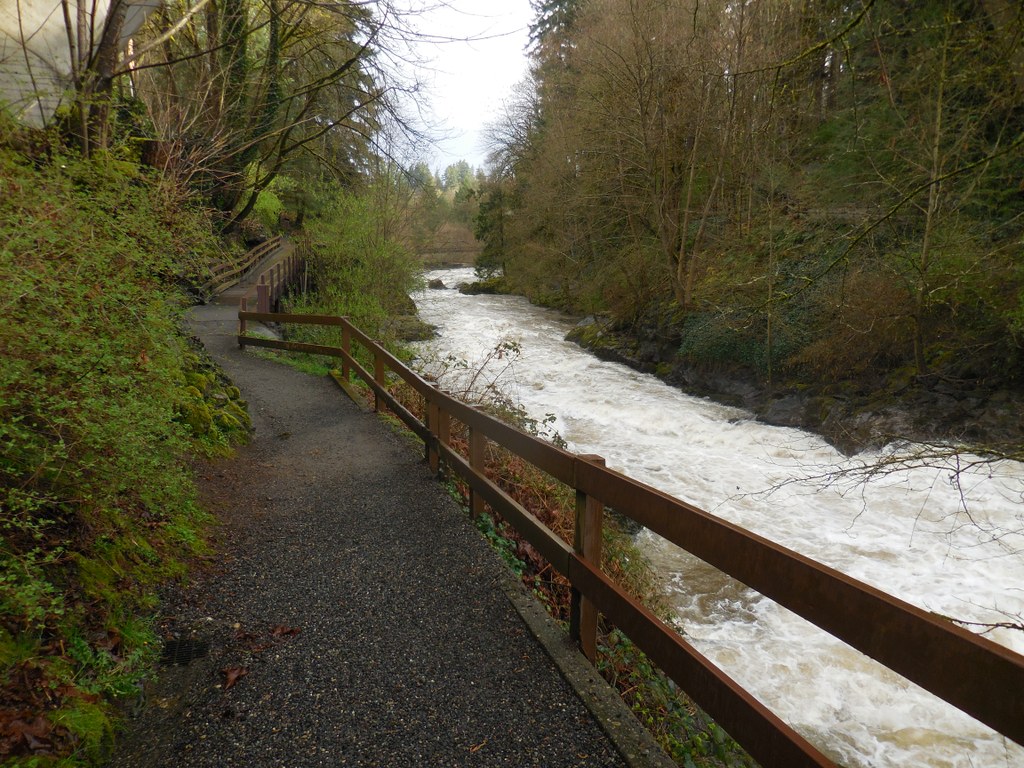 Tumwater Falls Park-3.10.2016-Anna Roth.jpeg Tumwater Falls Park-3.10.2016-Anna Roth.jpeg