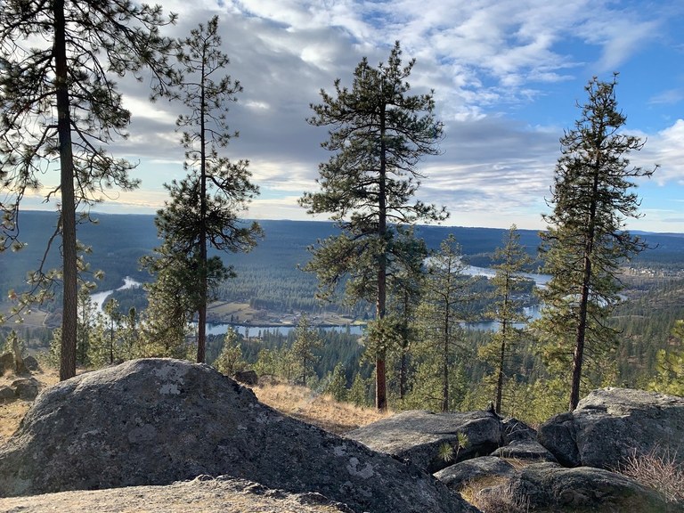 A hikers-eye view of a winding river with large Ponderosa pines in the foreground.
