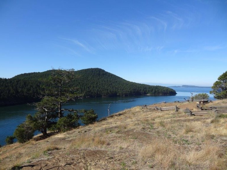 Washington Park. Photo by Mike.  Golden grass on a bluff overlooking the blue water with an island in the distance.