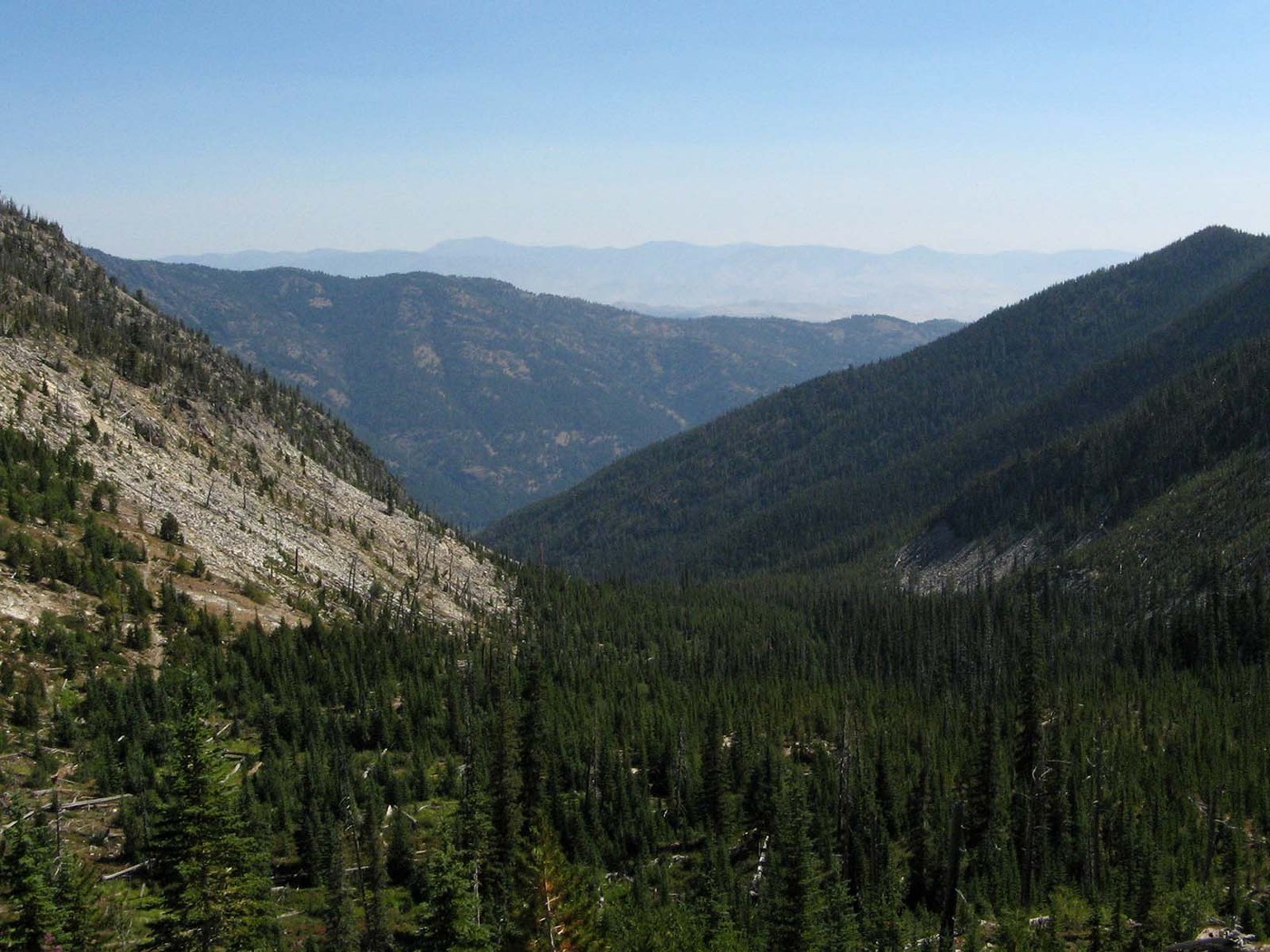 Williams Creek. Photo by Rolan.jpeg