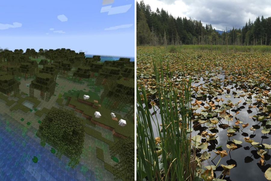 Write a Trip Report (3 × 2 in).png