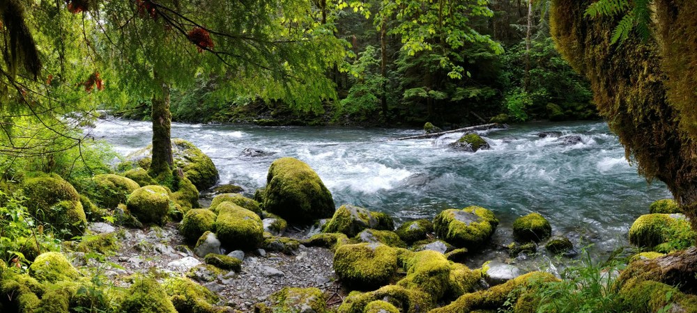 Shady hikes for hot summer days