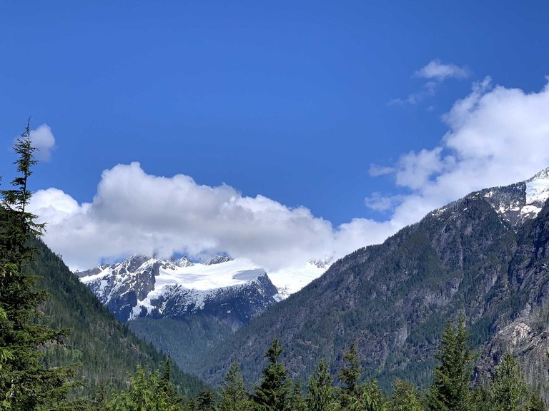 A snowy mountainscape in the distance.