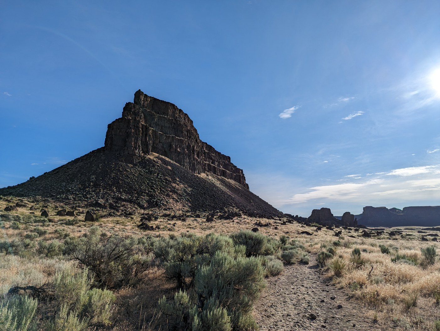 Brush and rocks in Central Washington.