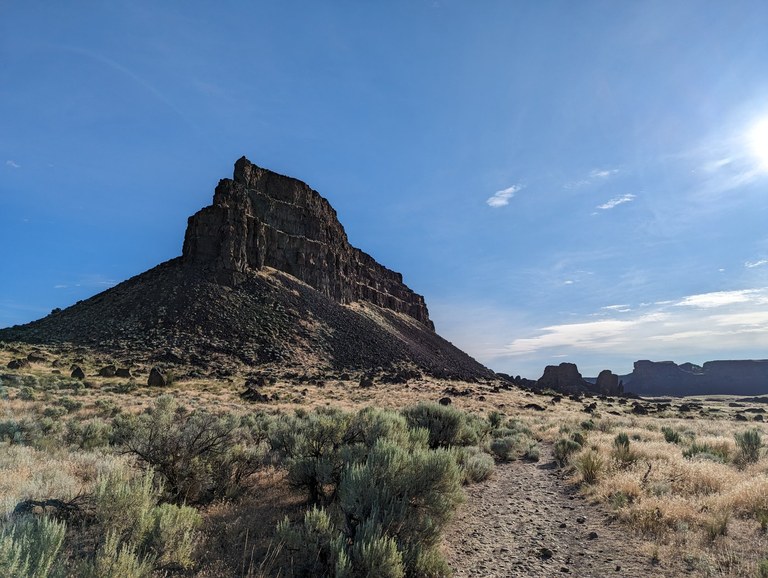 Brush and rocks in Central Washington.