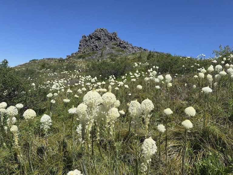 Volcano views, wildflowers and a jaunt on the PCT — what more can a hiker ask for? Photo by trip reporter justpeachy Three corner rock on a blue sky with wildflowers.