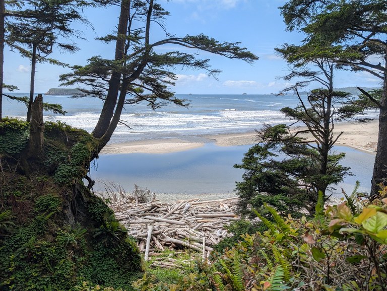 Be prepared to time the tides and clamber bluffs along the South Coast. Photo by trip reporter Andrea m A beach among the forest.