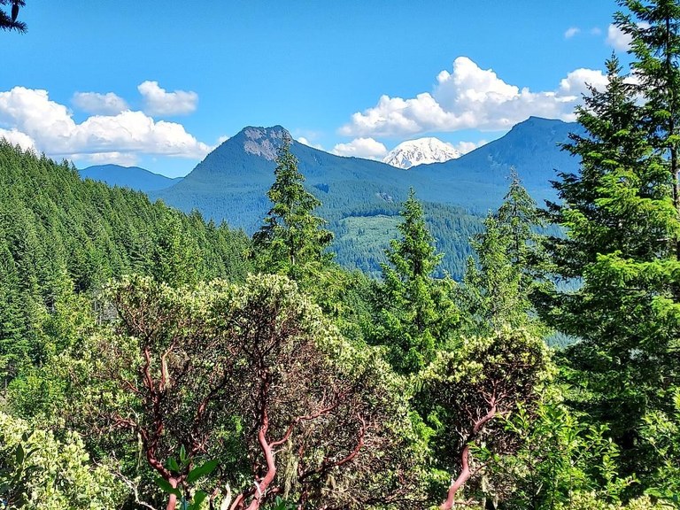 A forested peak rises above trees. 