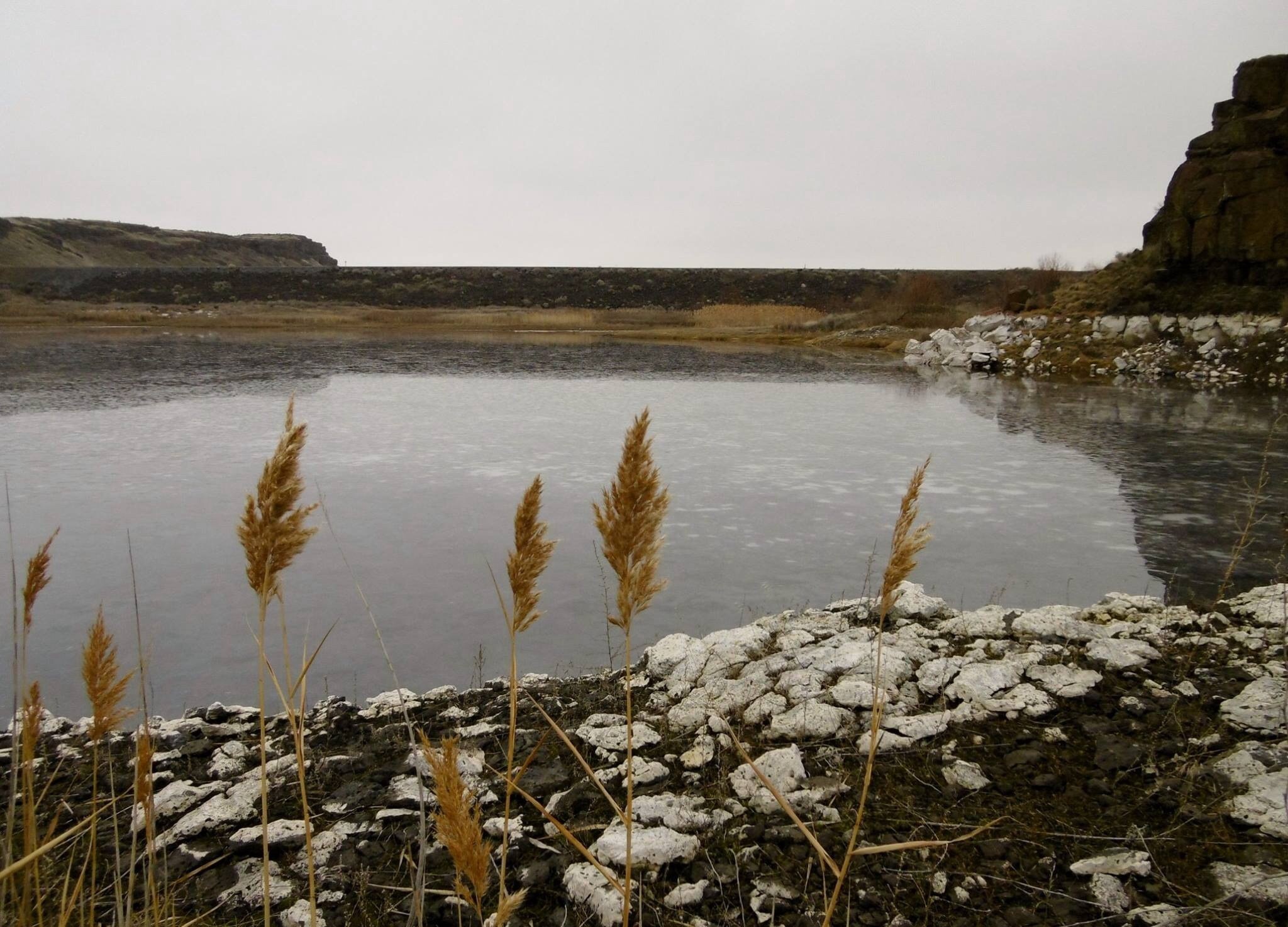 Frog Lake Crab Creek by Cascadian Kim.jpeg