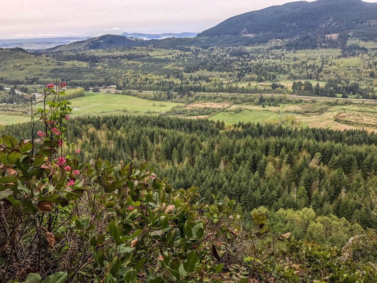 Alger Alp by CassieCassidy.jpeg