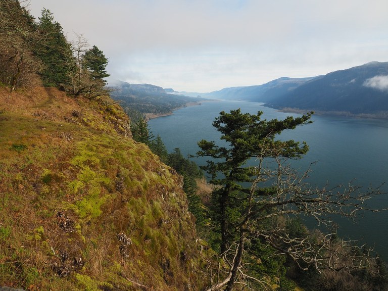 A view out to the Columbia River from a high viewpoint along the trail. 