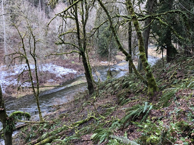 The trail follows the creek through a deep ravine. Photo by RSC1. 