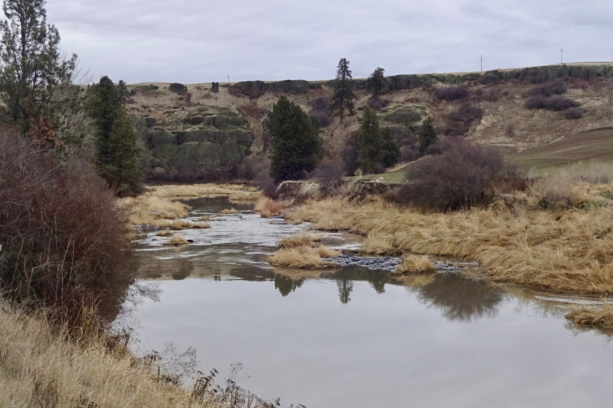 Colfax Trail. Photo by RichP..jpeg