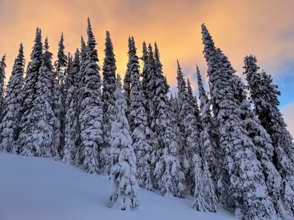 Sunrise colors during a snowshoe at Columbia Mountain. Photo by Holly Weiler.