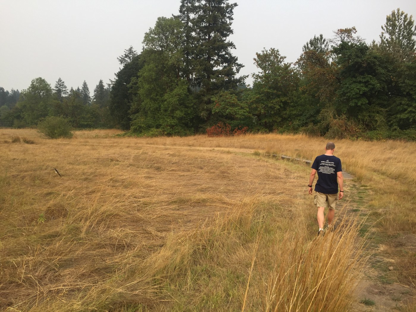 A person walks through a field of golden grass. Photo by BeaverDawg. 