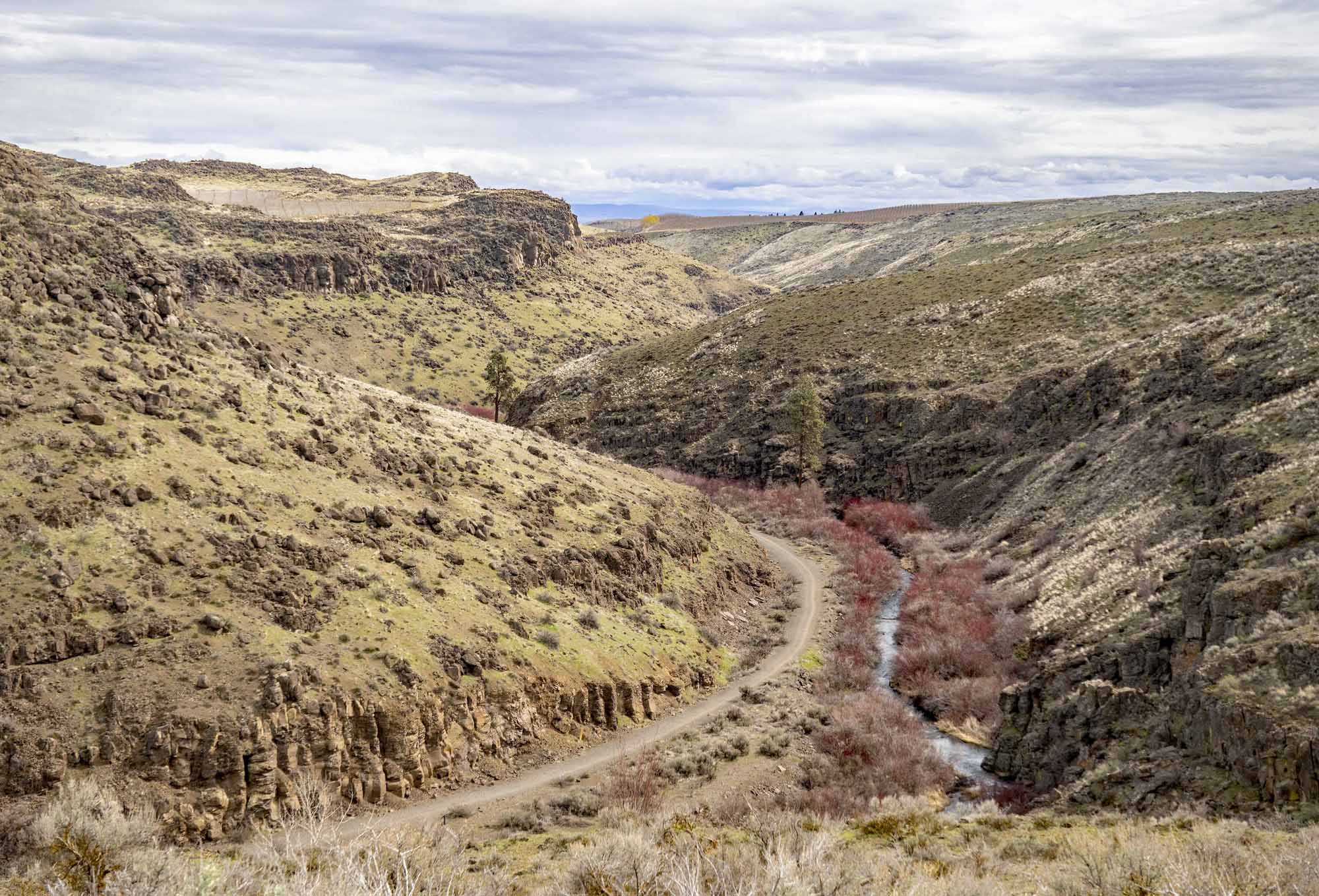 Cowiche Canyon by David Hagen