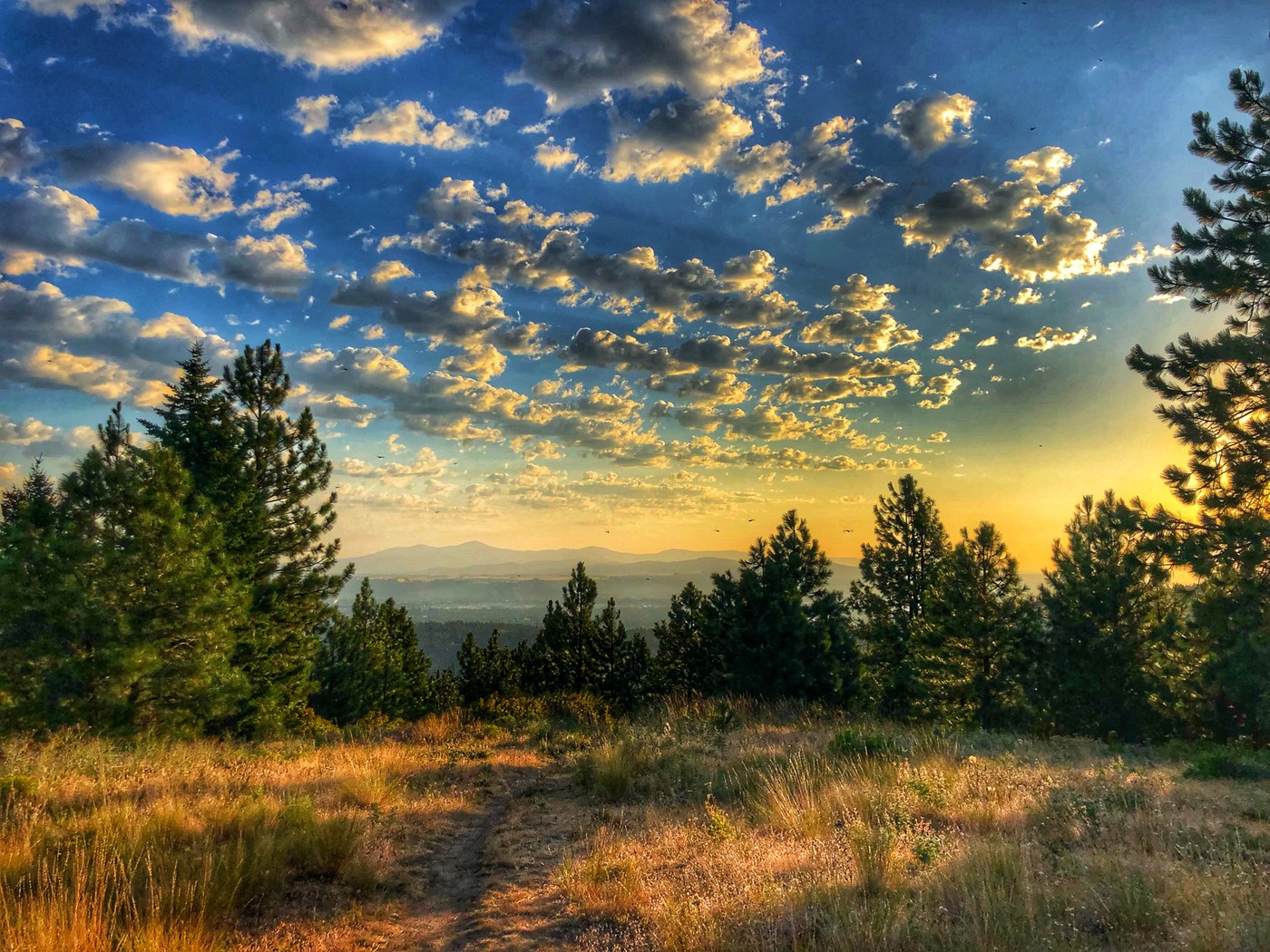 A colorful sky of clouds above a field of golden grass. Photo by TrailKat. 