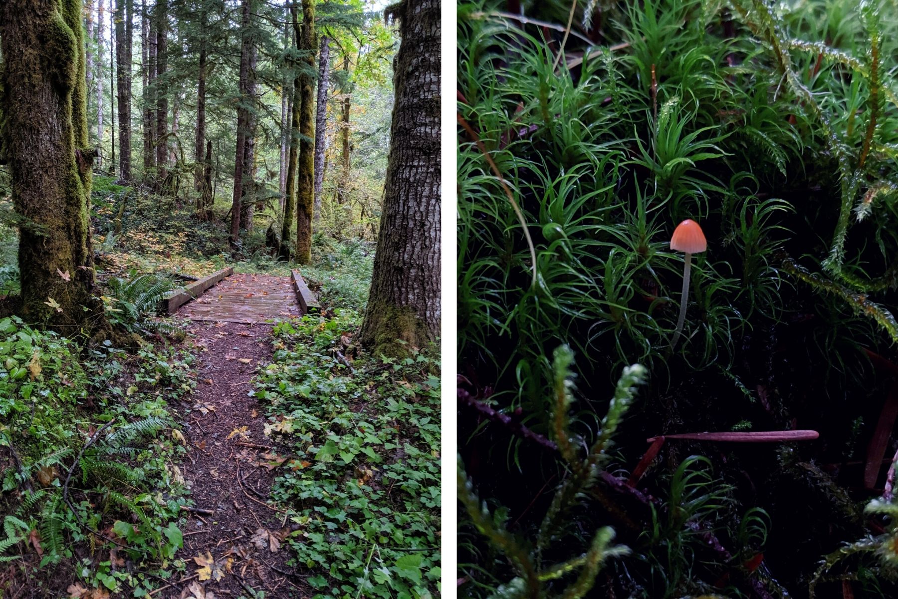 Dry Creek. Photo by Solohiker35.jpg