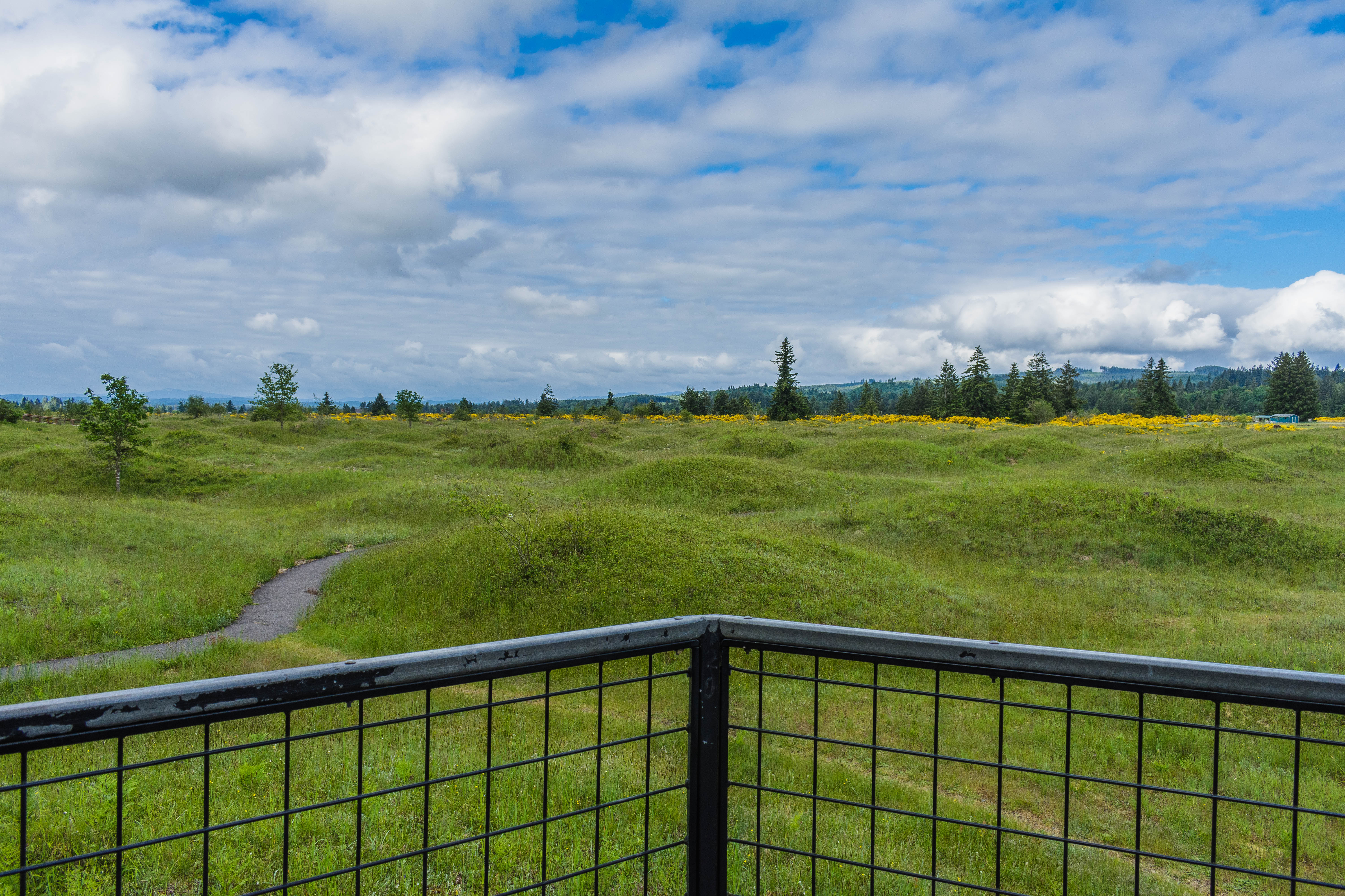 Mima Mounds by lpick10.jpg