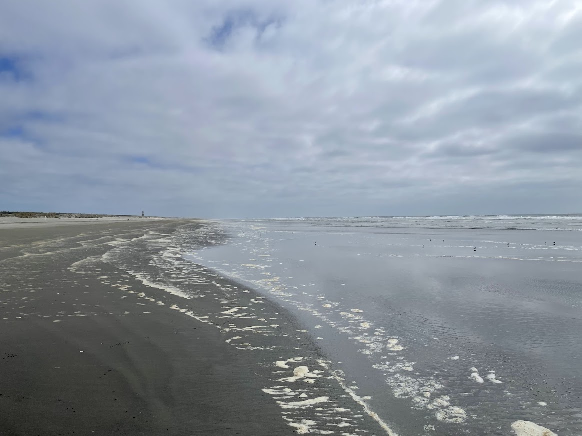 The beach at Willapa Bay at Leadbetter Point State Park - Dune Forest Loop. Photo by Lukin 66.