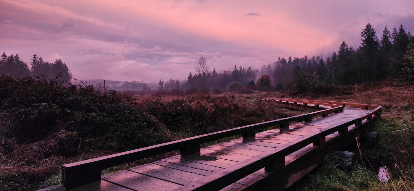 A boardwalk over a wetland with a brilliant pink sunset in the background. 