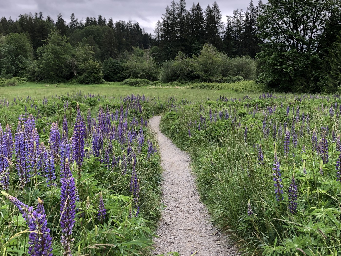 Evans Creek Preserve. Photo by jennekehikes.