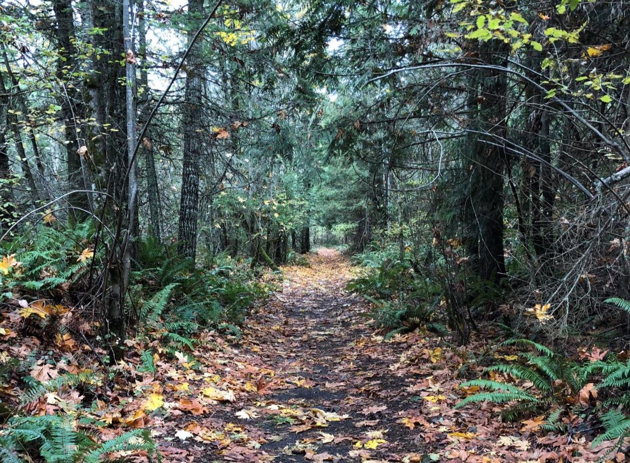 An autumn/winter day on the Foothills Trail - Wilkeson to Carbonado. Photo by trip reporter chrisburke.