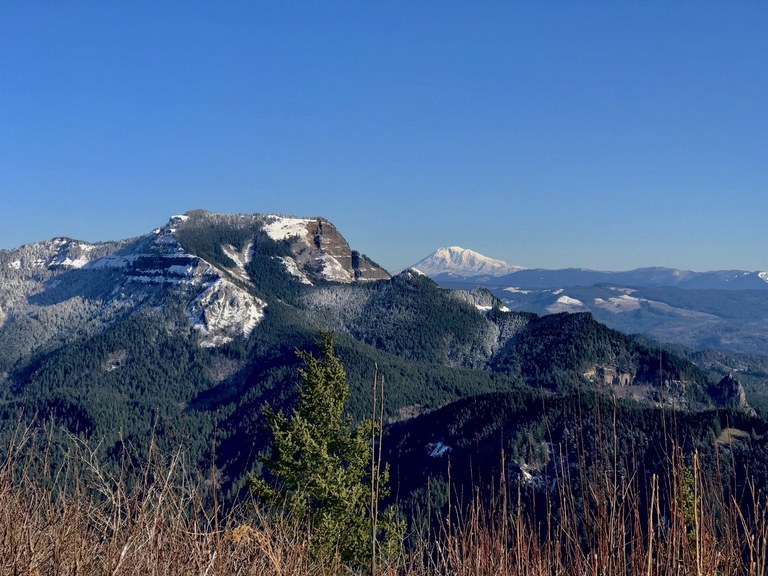 Snowcapped mountains in the distance from the summit of the hike. 