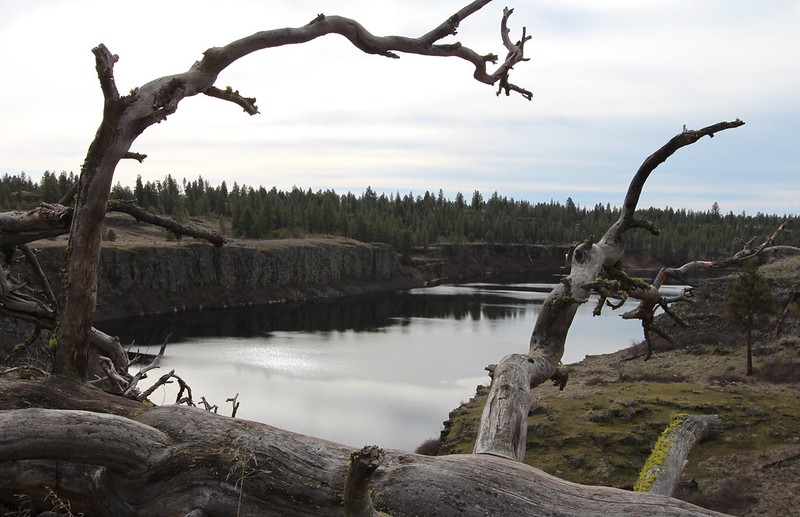 Hog Lake. Photo by Karen Soenke.jpg