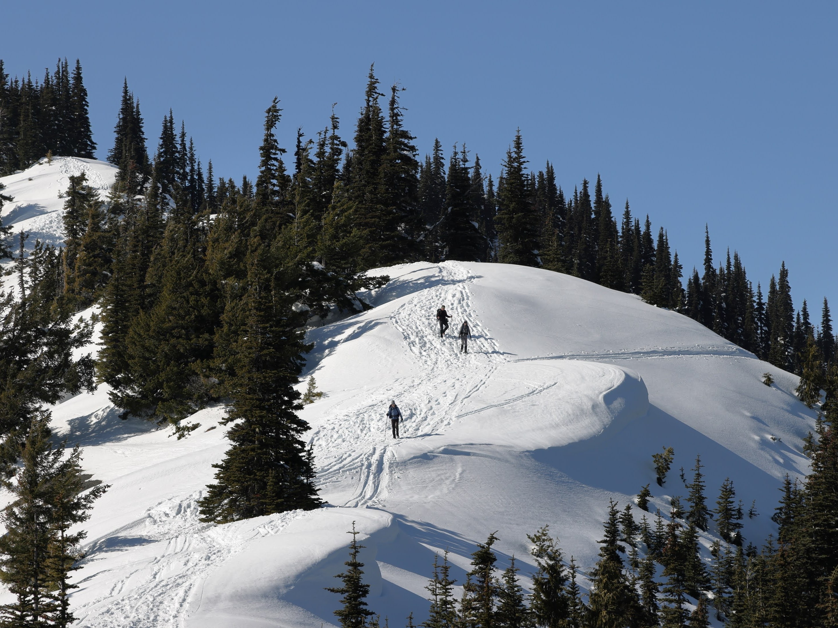 Snowshoers head up Hurricane Hill. Photo by JasonGriffx.