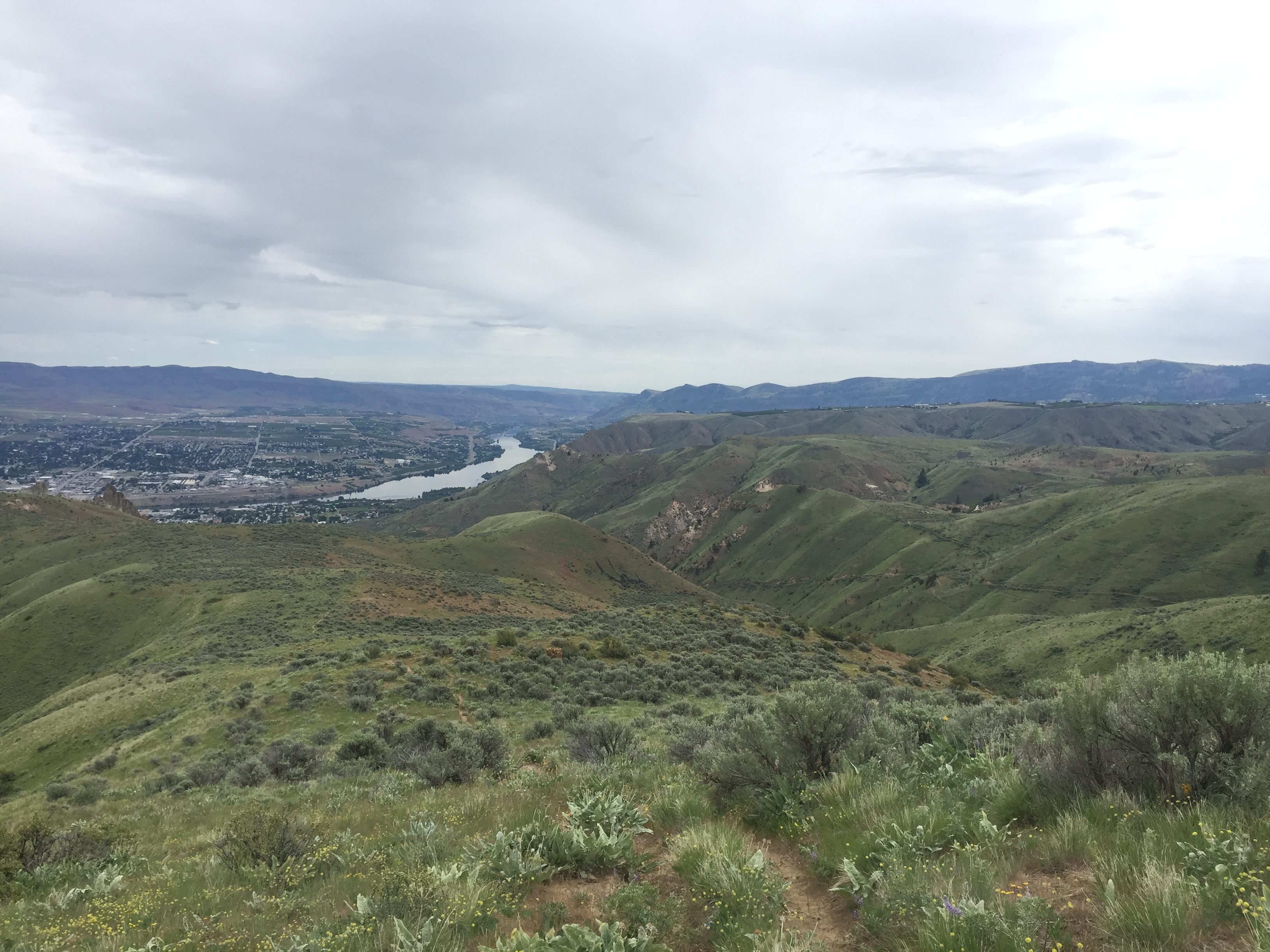 Rolling hills and a view of Wenatchee and Columbia River from Jacobson Preserve by jvarpness