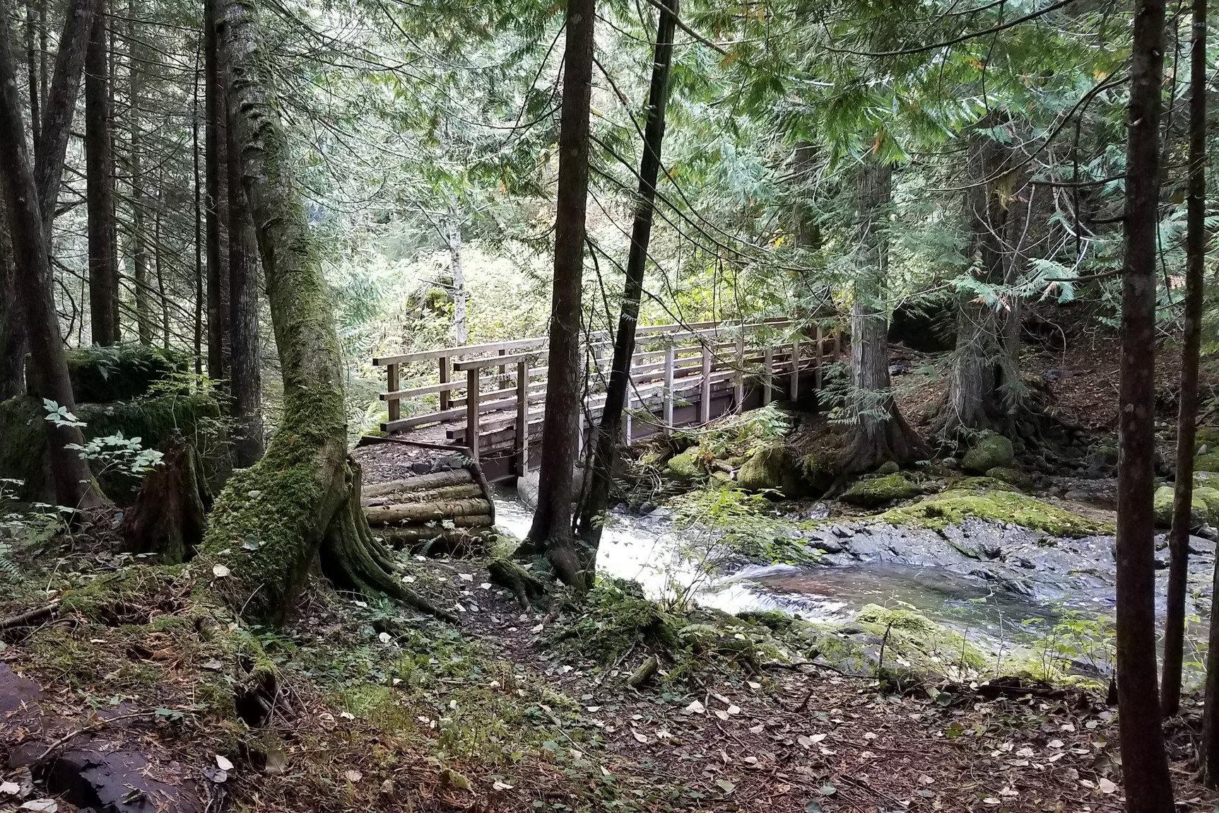 Kelley Creek. Photo by ejain.jpeg