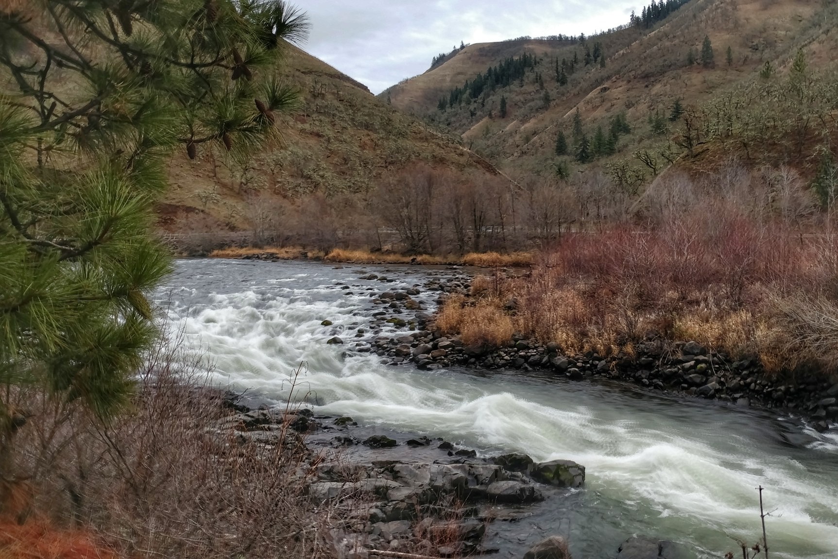 Klickitat Rail Trail. Photo by nicolekristek..jpeg